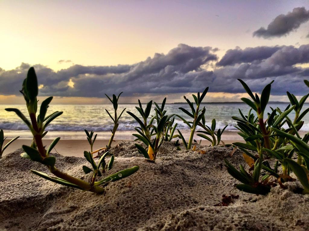 Stradbroke Island Beach Hotel Point Lookout Buitenkant foto